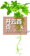 开云 - Kaiyun首页 - 权威体育门户网站